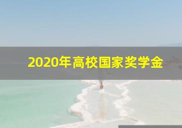 2020年高校国家奖学金