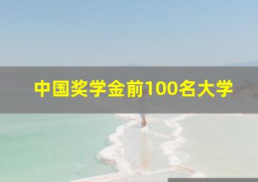 中国奖学金前100名大学