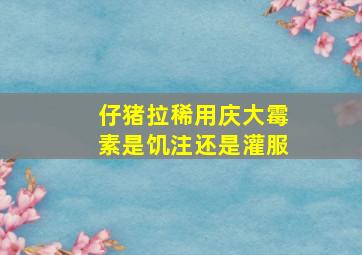 仔猪拉稀用庆大霉素是饥注还是灌服