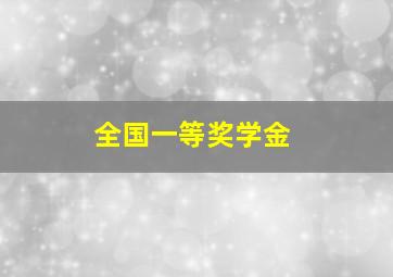 全国一等奖学金