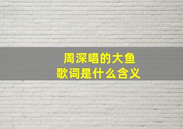 周深唱的大鱼歌词是什么含义