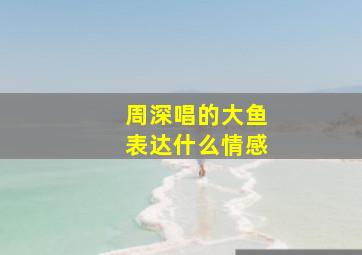 周深唱的大鱼表达什么情感