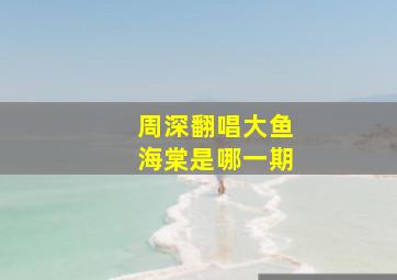 周深翻唱大鱼海棠是哪一期