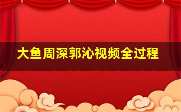 大鱼周深郭沁视频全过程