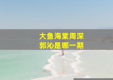 大鱼海棠周深郭沁是哪一期