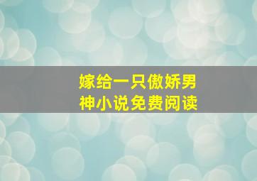 嫁给一只傲娇男神小说免费阅读