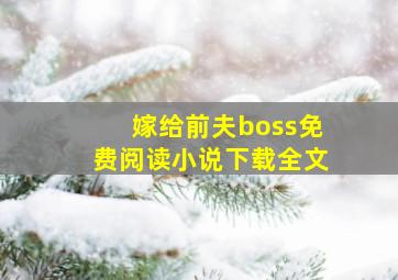 嫁给前夫boss免费阅读小说下载全文