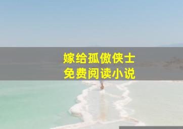 嫁给孤傲侠士免费阅读小说