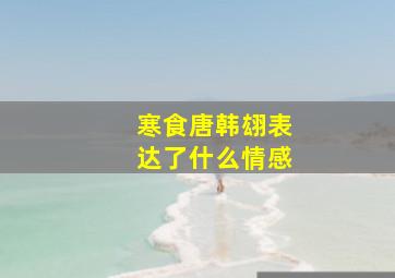 寒食唐韩翃表达了什么情感