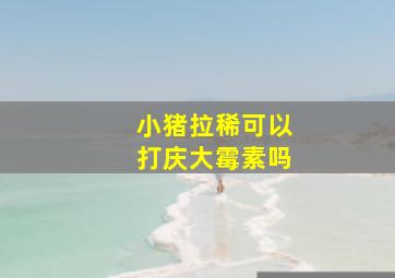 小猪拉稀可以打庆大霉素吗