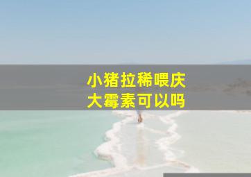 小猪拉稀喂庆大霉素可以吗