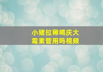 小猪拉稀喝庆大霉素管用吗视频