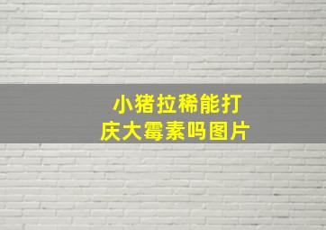 小猪拉稀能打庆大霉素吗图片