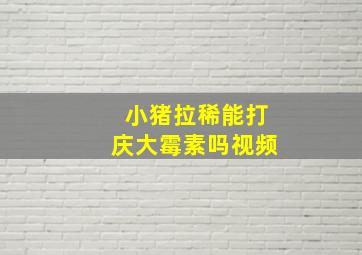 小猪拉稀能打庆大霉素吗视频