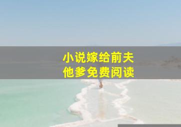 小说嫁给前夫他爹免费阅读