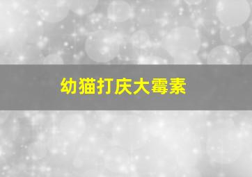 幼猫打庆大霉素