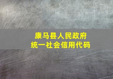 康马县人民政府统一社会信用代码