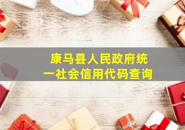 康马县人民政府统一社会信用代码查询