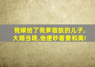 我嫁给了我爹宿敌的儿子,大婚当晚,他便吵着要和离!