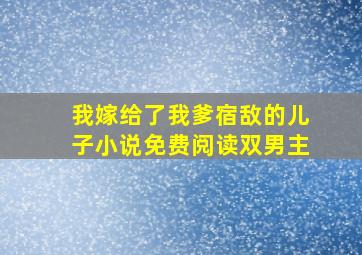 我嫁给了我爹宿敌的儿子小说免费阅读双男主