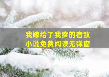 我嫁给了我爹的宿敌小说免费阅读无弹窗