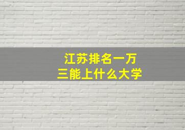 江苏排名一万三能上什么大学