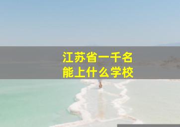 江苏省一千名能上什么学校