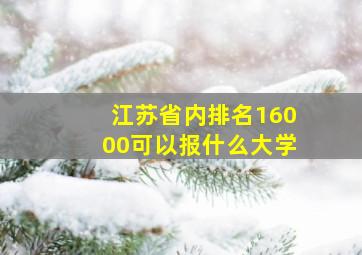 江苏省内排名16000可以报什么大学