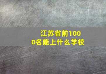 江苏省前1000名能上什么学校