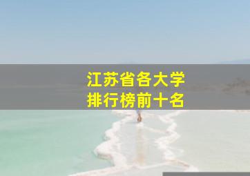 江苏省各大学排行榜前十名