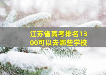 江苏省高考排名1300可以去哪些学校