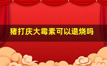 猪打庆大霉素可以退烧吗