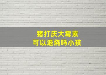 猪打庆大霉素可以退烧吗小孩