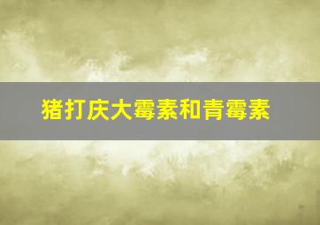 猪打庆大霉素和青霉素