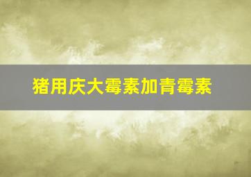 猪用庆大霉素加青霉素