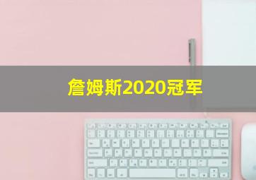 詹姆斯2020冠军