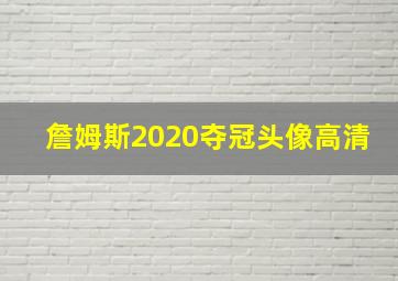 詹姆斯2020夺冠头像高清