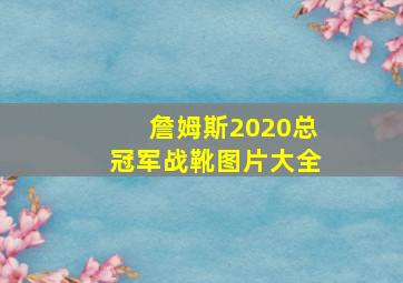 詹姆斯2020总冠军战靴图片大全