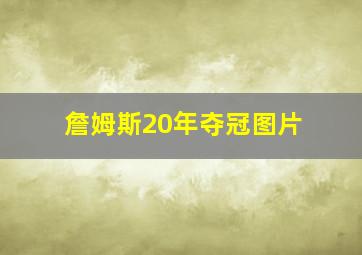 詹姆斯20年夺冠图片