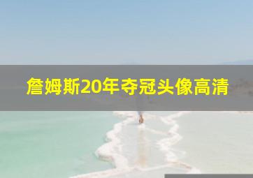 詹姆斯20年夺冠头像高清