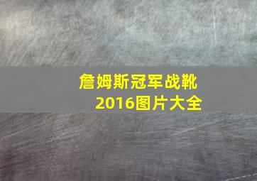 詹姆斯冠军战靴2016图片大全