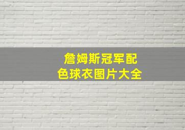 詹姆斯冠军配色球衣图片大全