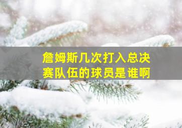 詹姆斯几次打入总决赛队伍的球员是谁啊