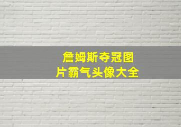 詹姆斯夺冠图片霸气头像大全