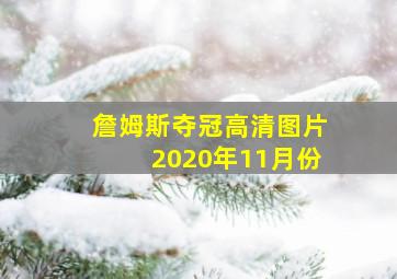 詹姆斯夺冠高清图片2020年11月份