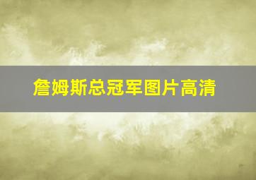 詹姆斯总冠军图片高清