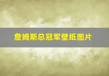 詹姆斯总冠军壁纸图片