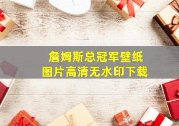 詹姆斯总冠军壁纸图片高清无水印下载