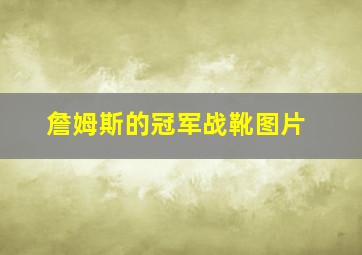 詹姆斯的冠军战靴图片