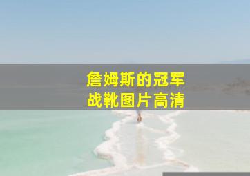 詹姆斯的冠军战靴图片高清